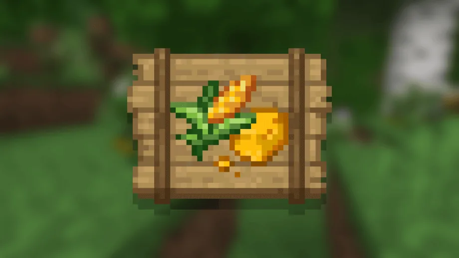 Corn Delight